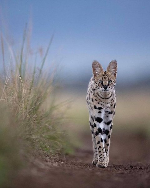 ,  .  -         . ... - 2