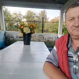 �������, 55 ���, ������