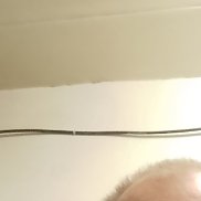 ���������, 52 ����, ������