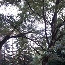 ���� ���������, ������ - ��������� 25 ������� 2025 � ������ ������ � ��������� "�����������"�