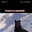 ���� ..������ �����)), ��������� - ��������� 3 ������ 2025 � ������ ���� ����������