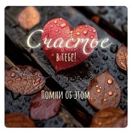 �����, ����, 49 ���