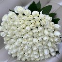 ���� �����, ����� - ��������� 18 ��� 2026 � ������ ������ ��������