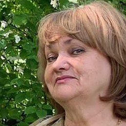 ����, ������, 66 ���