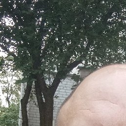 �����, �����, 46 ���