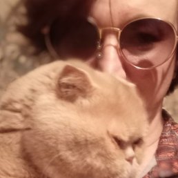 ������, �������, 50 ���