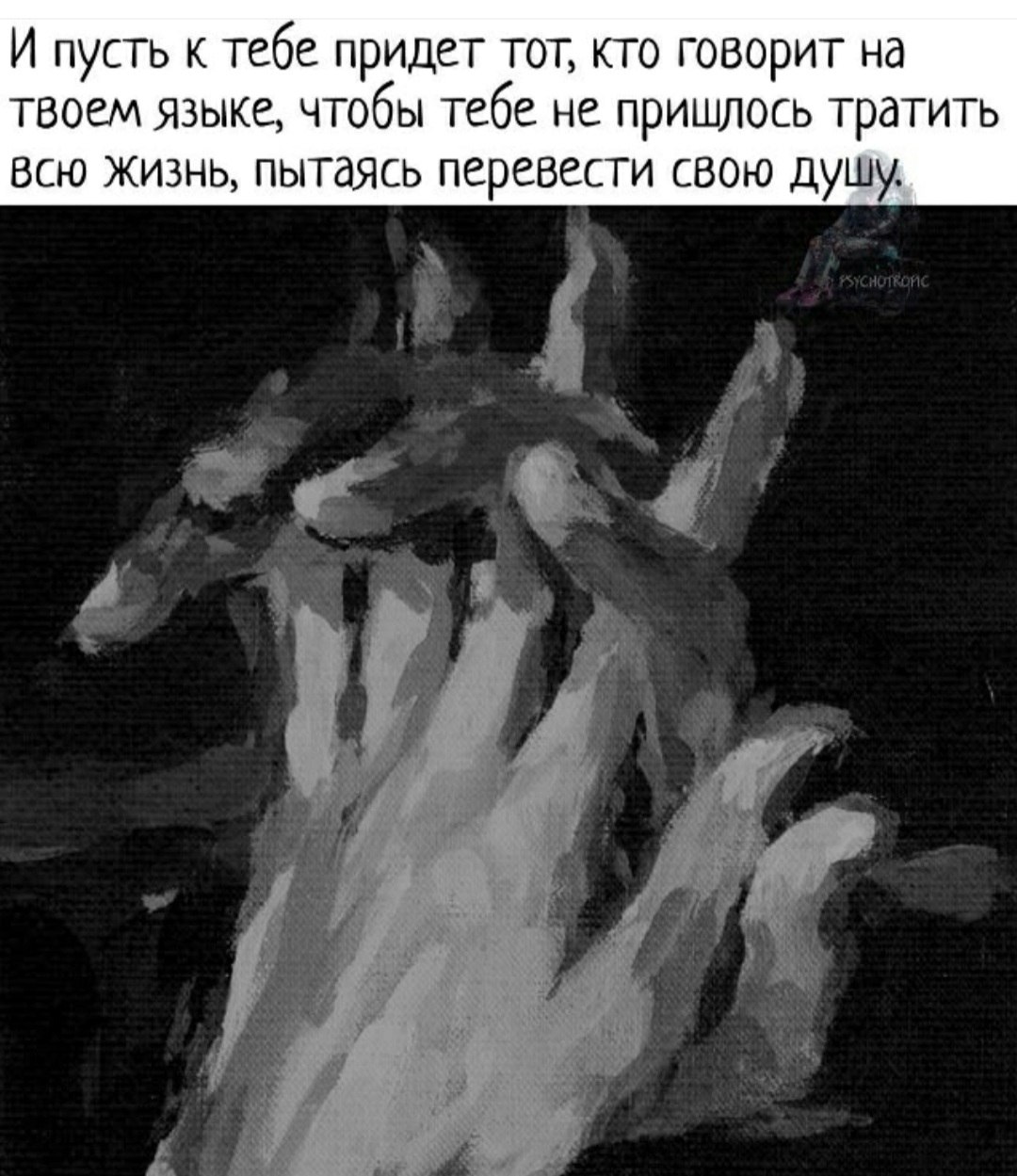 *T���* - 17 ������� 2026 � 10:52