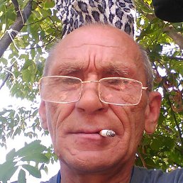 �����, ������, 67 ���