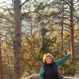 ���� ����, ������, 67 ��� - ��������� 7 ������ 2026