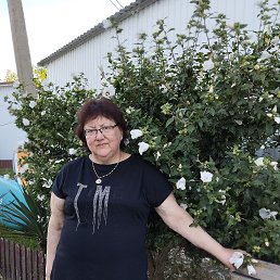 ���� ������, ����������, 66 ��� - ��������� 8 ������� 2025