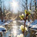 ���� �������, ���������� - ��������� 21 ����� 2026 � ������ ������ ��������