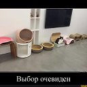 ���� ���������, �������, 52 ���� - ��������� 21 ������� 2026 � ������ ������ ��������