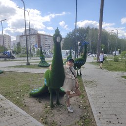 ���� �������, �������������, 53 ���� - ��������� 12 ���� 2024