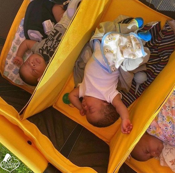 ����� ������� - 3