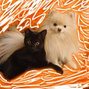 ���� ��������, ���������, 60 ��� - ��������� 27 ������ 2025 � ������ ������ ��������