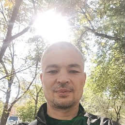  , 41, 
