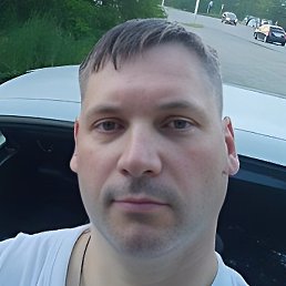 ����, �������, 41 ���