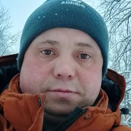 ����������, ���������, 41 ���