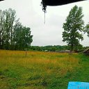 ���� ϸ��, ���������, 45 ��� - ��������� 7 ������� 2025 � ������ ���� ����������