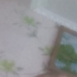 ������, ���, 47 ���