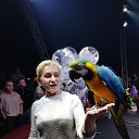 ���� �������, �������, 63 ���� - ��������� 16 ������� 2025