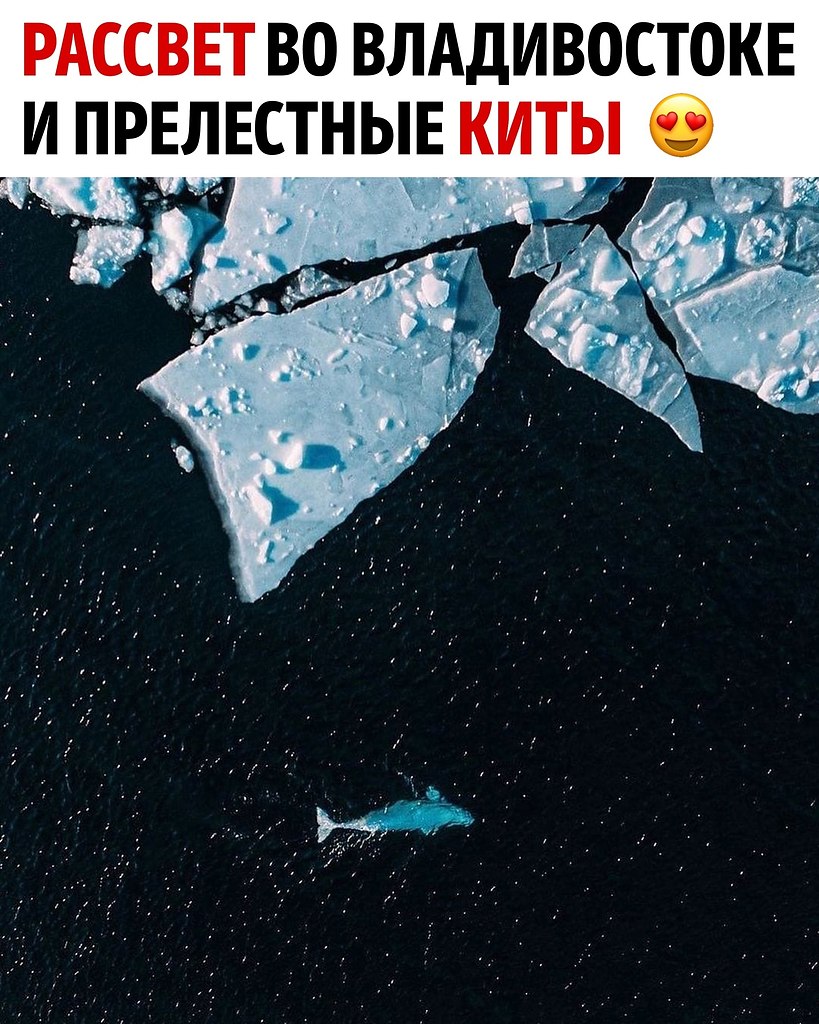    !