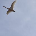  Sergey, , 56  -  13  2025