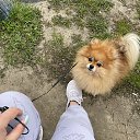 ���� �����, ������, 47 ��� - ��������� 28 ���� 2024 � ������ ���� ����������