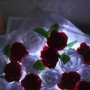 ���� Anastasiia, ���������, 21 ��� - ��������� 10 ����� 2025 � ������ ���� �������