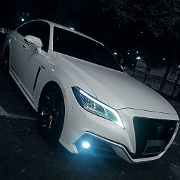 ���� �����, �����������, 36 ��� - ��������� 18 ����� 2026