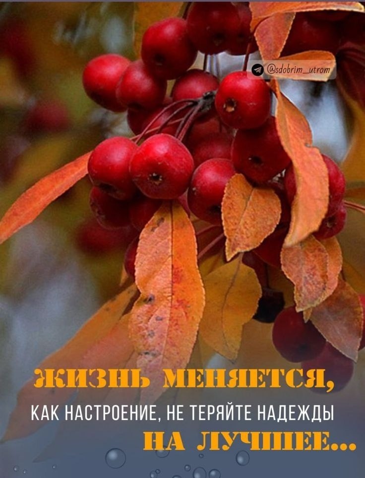 ПРИВЕТСТВИЯ и ПОЖЕЛАНИЯ, открытки на каждый день. - 5 октября 2025 в 23:59