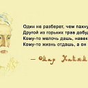 ���� �����, ������, 51 ��� - ��������� 28 ������ 2025 � ������ ��������