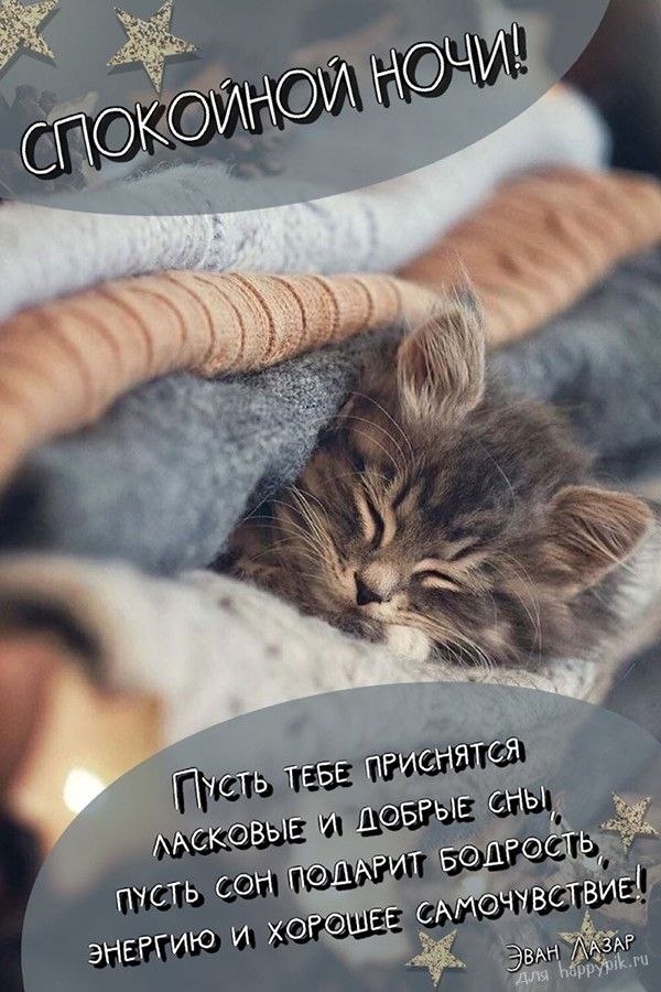   ,    . - 29  2025  21:32 - 6