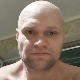 ������, ���������, 46 ���