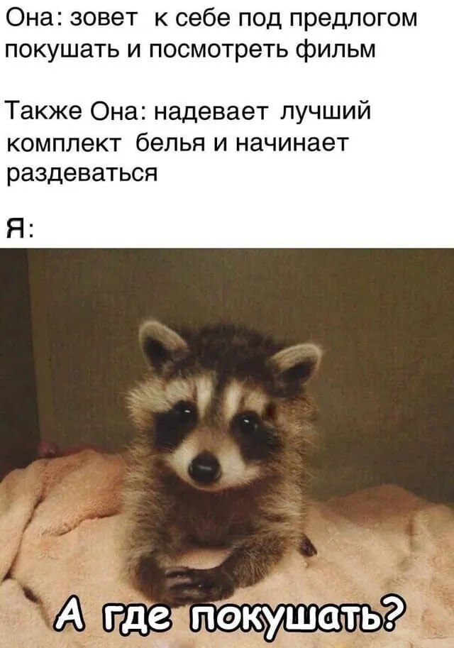 ***Victoria Viktorovna*** - 16  2024  05:00