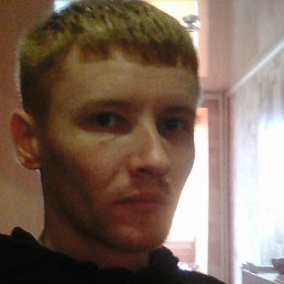 ������, ��������, 41 ���