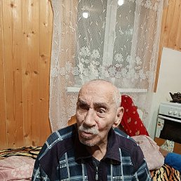 �����, 41 ���, ������