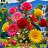 ���� Cud3456, ������, 32 ���� - ��������� 1 ������ 2026