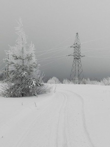 Гололедно-изморозевое отложение в Подосиновском районе.Фото: Анна КоневаИсточник: Любительская ... - 4