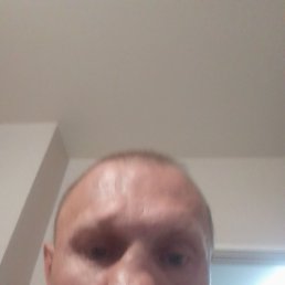 , 41, 