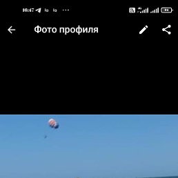 ���� ���������, ������, 43 ���� - ��������� 11 ������� 2024