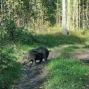 ���� ������, �����-��������� - ��������� 20 �������� 2024 � ������ ������ ��������