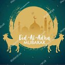 ���� Sultan, �����������, 37 ��� - ��������� 6 ������ 2023 � ������ ���� ����������