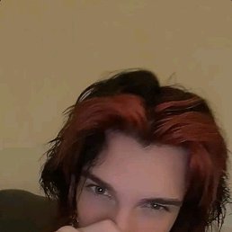 ����, �����-���������, 23 ����