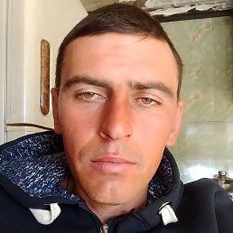 Artemi, �������, 41 ���