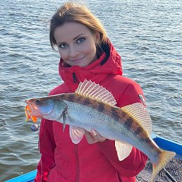 �����, ���������, 39 ���