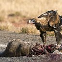 ���� ����, ����������, 46 ��� - ��������� 4 �������� 2025 � ������ ���� ����������