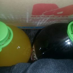 �����, ������, 38 ���