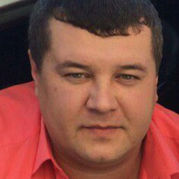 �������, ����, 41 ���