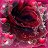 ���� Octyabrina, �������� - ��������� 19 ������� 2024
